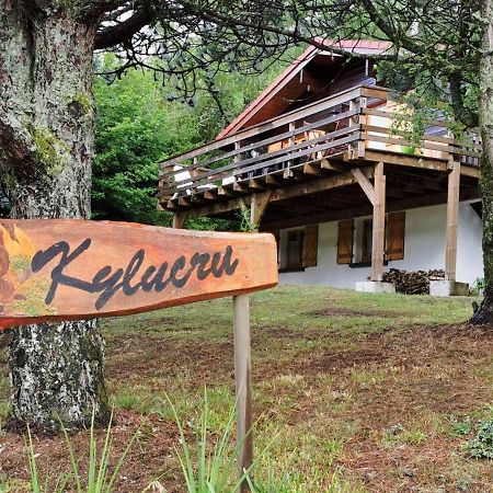Vila Chalet Kylucru 6 Personnes Classe 2 Etoiles Xonrupt-Longemer Exteriér fotografie